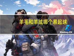 羊毛和羊绒哪个易起球