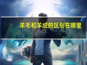 羊毛和羊绒的区别在哪里