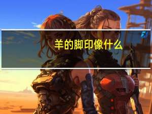 羊的脚印像什么