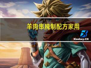 羊肉串腌制配方家用