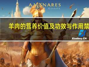 羊肉的营养价值及功效与作用禁忌（羊肉的营养价值）