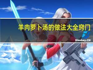 羊肉萝卜汤的做法大全窍门（羊肉萝卜汤的做法大全）