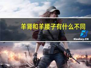 羊肾和羊腰子有什么不同