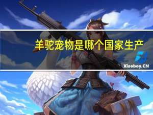 羊驼宠物是哪个国家生产