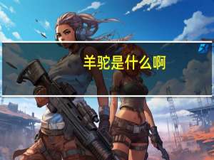 羊驼是什么啊