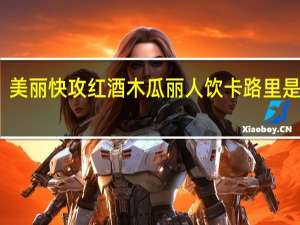 美丽快攻 红酒木瓜丽人饮卡路里是多少