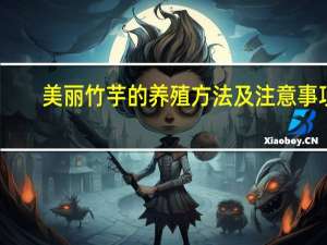 美丽竹芋的养殖方法及注意事项