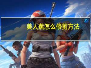 美人蕉怎么修剪方法