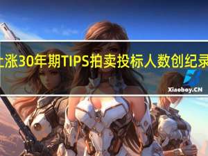 美债收益率普遍上涨30年期TIPS拍卖投标人数创纪录仍未能阻止收益率攀升