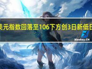 美元指数回落至106下方创3日新低日内跌0.16%