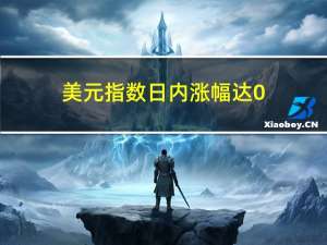 美元指数日内涨幅达0.5%报104.16点