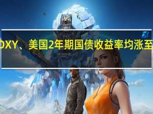 美元指数DXY、美国2年期国债收益率均涨至日高分别报105.94和5.03%