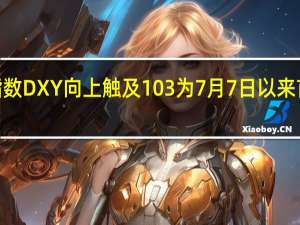 美元指数DXY向上触及103为7月7日以来首次日内涨0.13%
