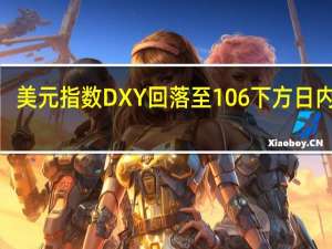 美元指数DXY回落至106下方日内跌0.20%