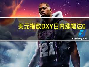 美元指数DXY日内涨幅达0.50%现报103.64