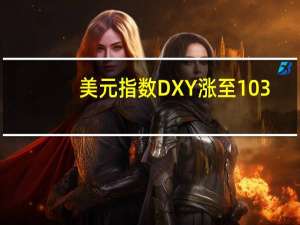 美元指数DXY涨至103.60创下两个月来的新高