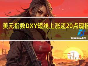 美元指数DXY短线上涨超20点现报105.89