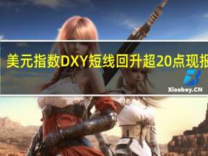 美元指数DXY短线回升超20点现报106.41抹去鲍威尔讲话以来的跌幅