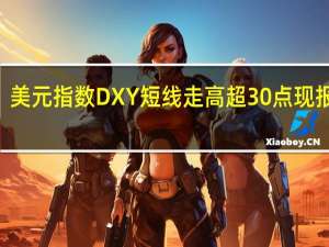 美元指数DXY短线走高超30点现报103.73