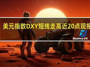 美元指数DXY短线走高近20点现报106.26