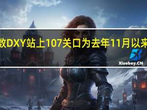 美元指数DXY站上107关口为去年11月以来首次日内涨0.71%
