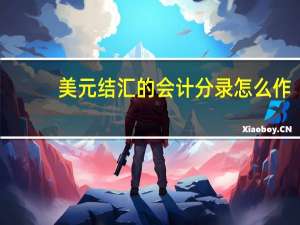 美元结汇的会计分录怎么作