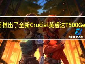 美光今日推出了全新Crucial英睿达T500Gen4NVMeSSD