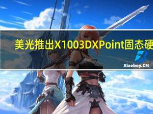 美光推出 X100 3D XPoint固态硬盘，速度可达9GB/s