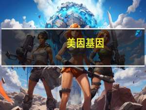 美因基因（美因）