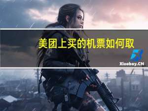 美团上买的机票如何取