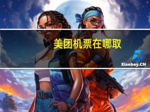 美团机票在哪取
