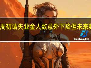 美国上周初请失业金人数意外下降但未来数周可能反弹