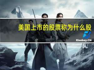 美国上市的股票称为什么股