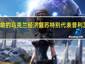 美国任命的乌克兰经济复苏特别代表普利茨克访问基辅