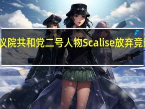 美国众议院共和党二号人物Scalise放弃竞选众议院议长