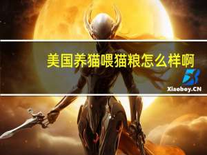美国养猫喂猫粮怎么样啊
