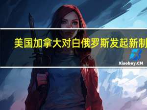 美国加拿大对白俄罗斯发起新制裁