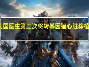 美国医生第二次将转基因猪心脏移植给患者