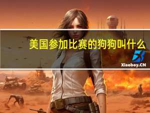 美国参加比赛的狗狗叫什么