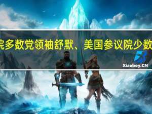 美国参议院多数党领袖舒默、美国参议院少数党领袖麦康奈尔：预计参议院将为乌克兰提供更多援助对乌援助获得两党多数派的强大支持
