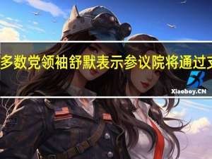 美国参议院多数党领袖舒默表示参议院将通过支持以色列的决议
