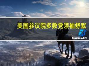 美国参议院多数党领袖舒默：众议院共和党的以色列援助法案严重不足