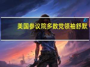 美国参议院多数党领袖舒默：众议院共和党继续在援助法案上浪费时间