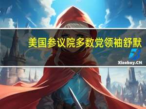 美国参议院多数党领袖舒默：参议院将于下午3点（北京时间周三凌晨3点）举行第二次人工智能论坛