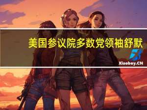 美国参议院多数党领袖舒默：必须通过一项包含对乌克兰援助的资金法案