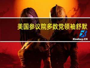 美国参议院多数党领袖舒默：恳请约翰逊议长从以往的政府停摆中吸取教训