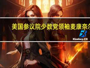 美国参议院少数党领袖麦康奈尔：乌克兰援助是符合美国利益的投资