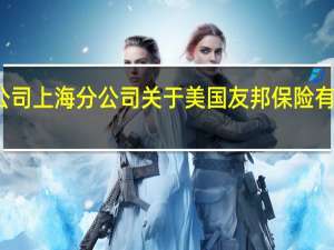 美国友邦保险有限公司上海分公司 关于美国友邦保险有限公司上海分公司的介绍