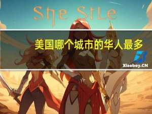 美国哪个城市的华人最多