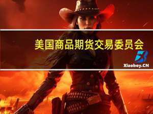 美国商品期货交易委员会（CFTC）：截至11月7日一周内COMEX白银期货投机性净多头寸减少4405手至2231手